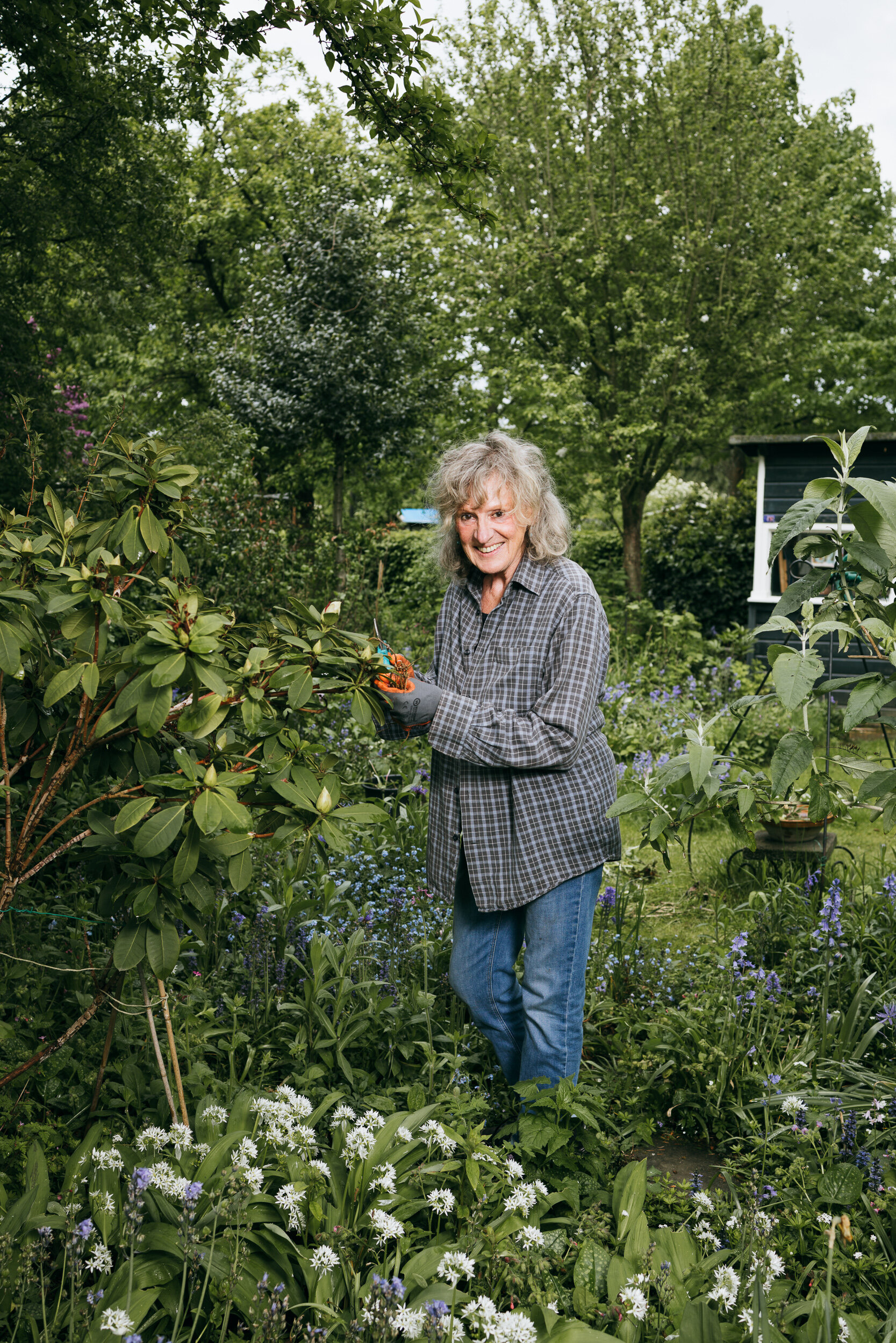 Een Plek Onder de Zon